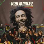 Music Album