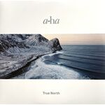 Music Album