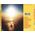 Music Album