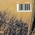 Music Album