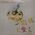 Music Album