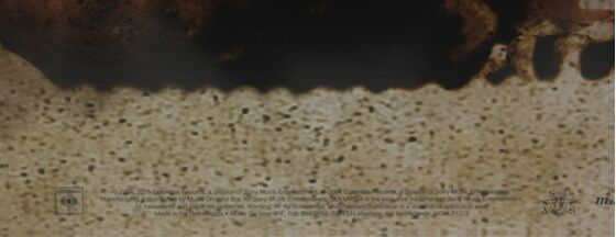 Music Album