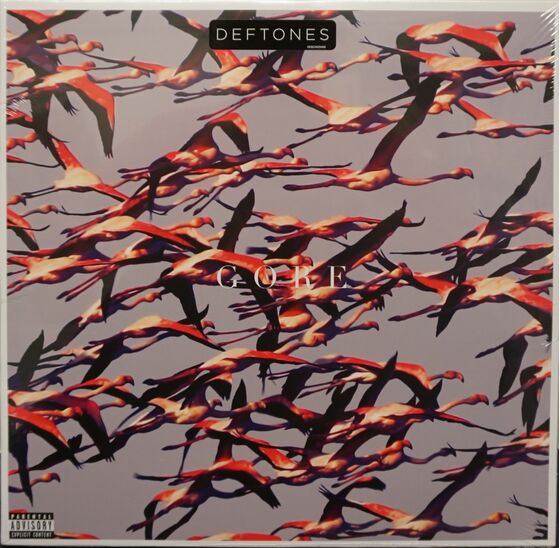 Music Album