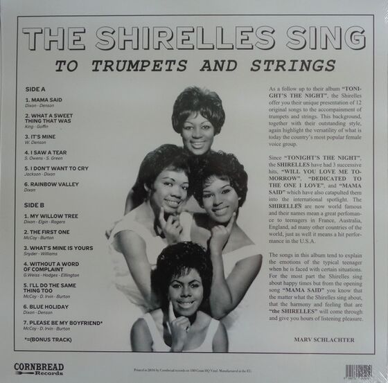 Music Album