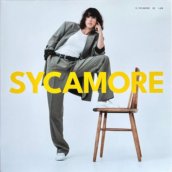 Music Album