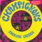 Music Album